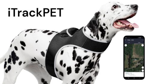 Pet Tracker Waterproof Pet Finder Best Dog Tracking Device - SIM Required Size:M